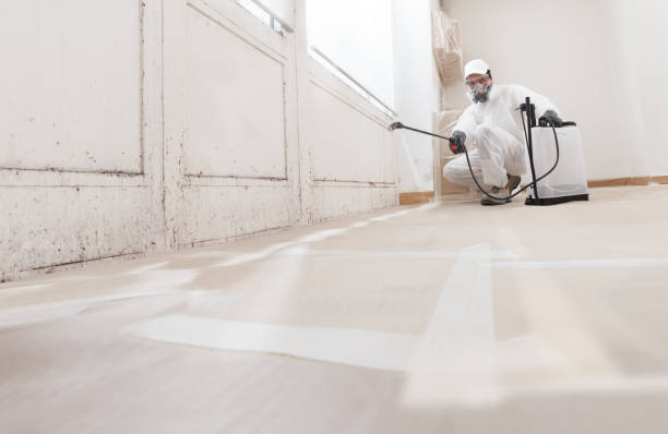 24/7 Emergency Mold Remediation experts in New Braunfels, TX