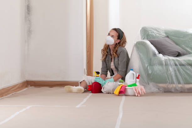 Reliable Mold Remediation contractor in New Braunfels, TX by Mold Remediation HQ
